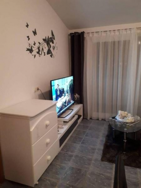 Отель Apartments Sara  Тисно